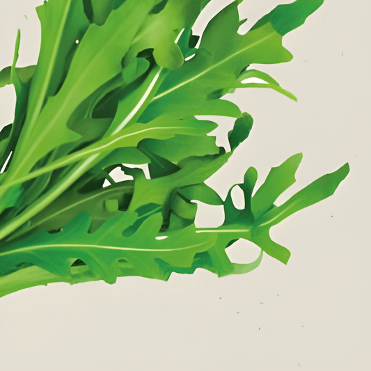 Organic Wild Arugula Seeds Diplotaxis Tenuifolia Spicy Flavor