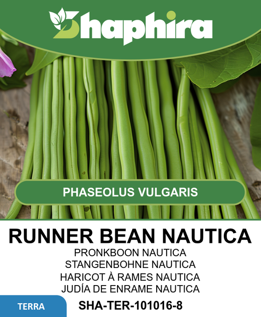 Runner Beans Nautica Seeds Phaseolus Vulgaris Fine Pod Variety