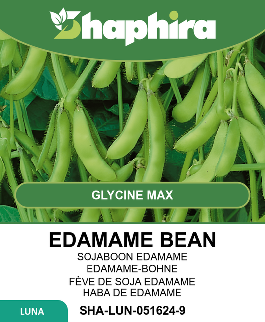 Edamame Soybean Seeds Green Shell Glycine Max Early Variety