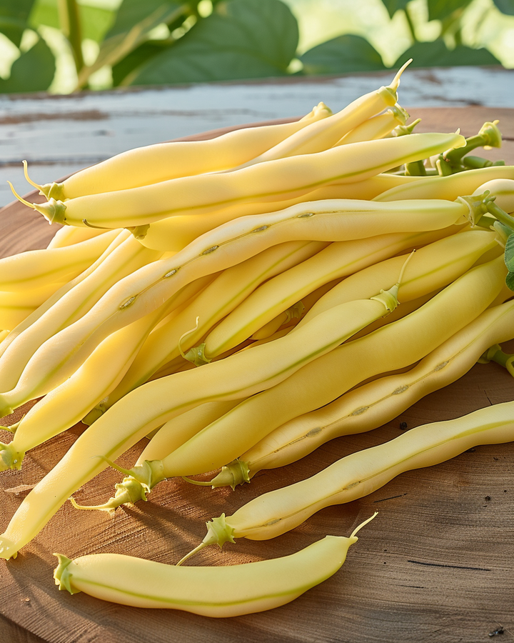 Wax Beans Gondola Seeds Phaseolus Vulgaris Tender Yellow Variety