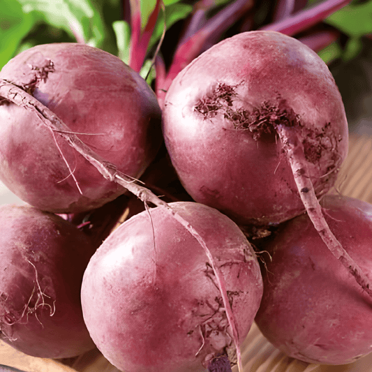 Red Beet Seeds Beta Vulgaris Ball Variety For Outdoor Sowing