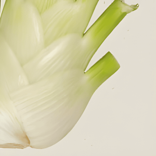 Organic Fennel Seeds Foeniculum Vulgare Doux De Florence