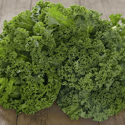 Westland Autumn Kale Seeds Brassica Oleracea Vegetable Variety