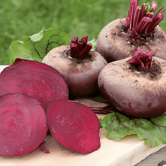 Egyptian Flat Round Beet Seeds Beta Vulgaris Vegetable Variety