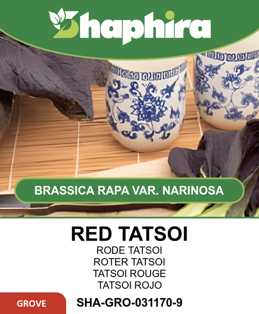 Japanese Tatsoi Brassica Rapa Var Narinosa Seeds Red Variety