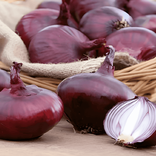 Onion North Holland Blood Red Seeds Allium Cepa Spicy Flavor