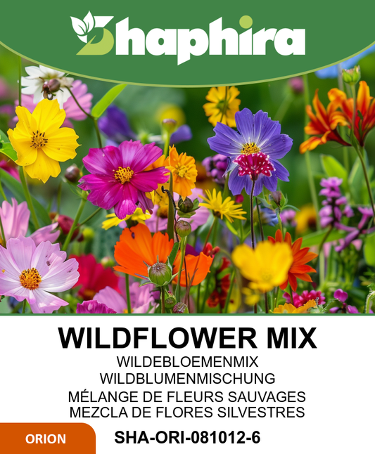 Wildflower Mix Seeds Veldbloemen 2 20 Species Annual Bloomers