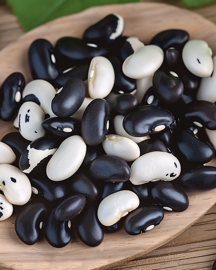 Pole Bean Seeds Yin Yang Phaseolus Vulgaris Dry Bush Variety