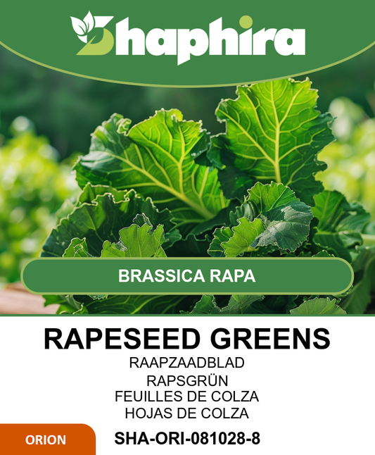 Turnip Greens Seeds Brassica Rapa Early Spring Vegetable 50g