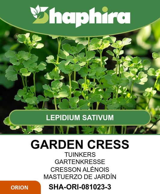 Garden Cress Seeds Lepidium Sativum Bulk 500g Common Variety