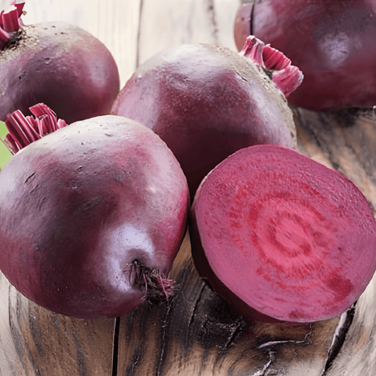 Red Beetroot Seeds Beta Vulgaris Kogel 2 Vegetable Variety