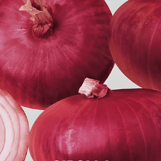 Red Onion Seeds Allium Cepa Early Round Red Bulbs