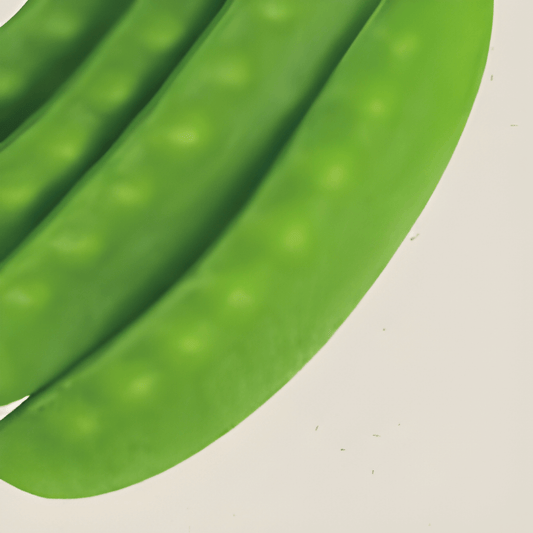 Organic Pea Seeds Pisum Sativum Early Large Tender Pods