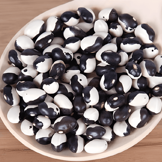 Pole Bean Seeds Yin Yang Phaseolus Vulgaris Dry Bush Variety