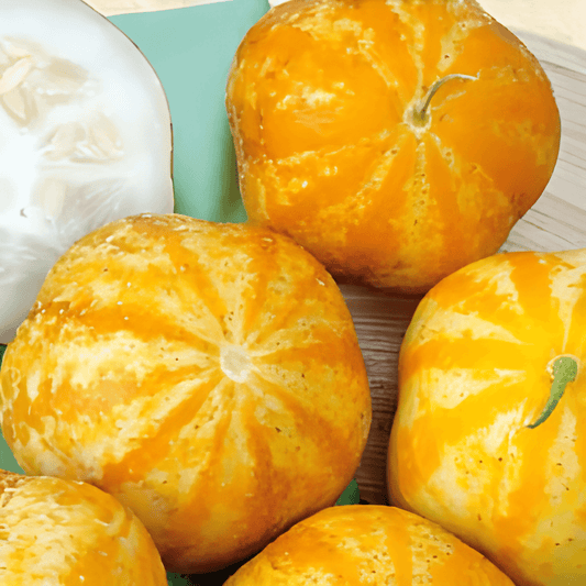 Lemon Apple Cucumber Seeds Cucumis Sativus Sweet Mild Taste