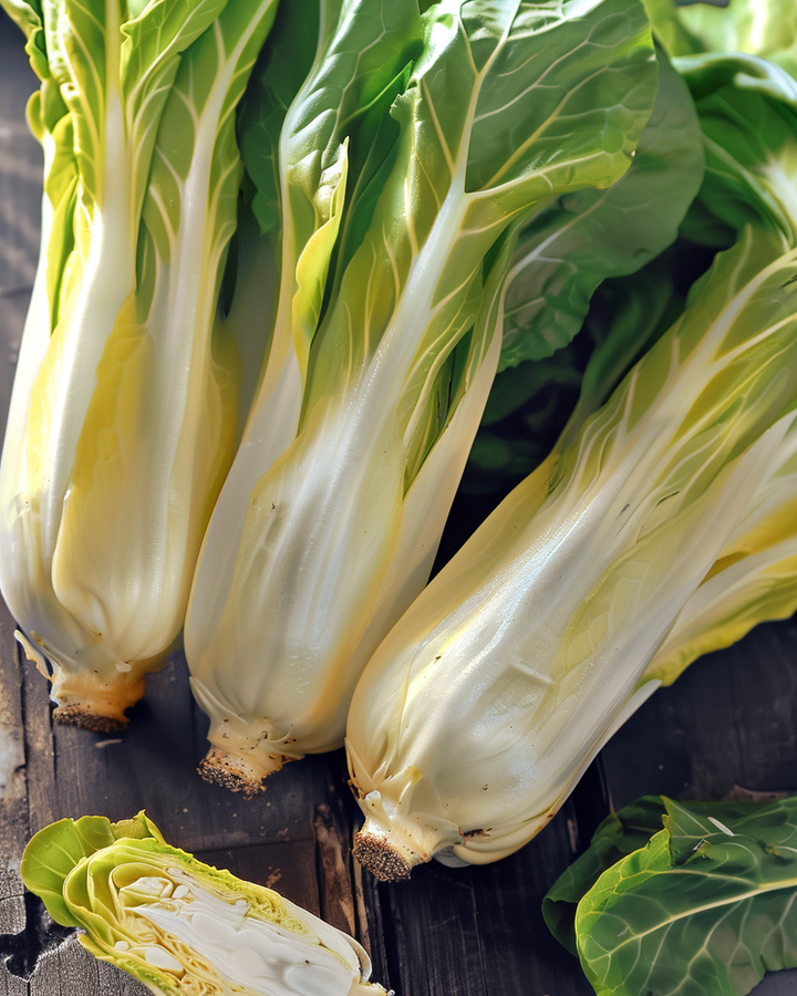 Chicory Seeds Cichorium Intybus Mechelse Middelvroeg Variety