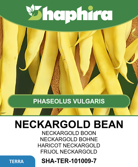 Yellow Pole Bean Seeds Neckargold Phaseolus Vulgaris Climbing Variety