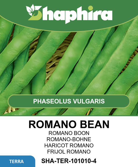 Romano Bean Seeds Phaseolus Vulgaris Speckled Disease Resistant