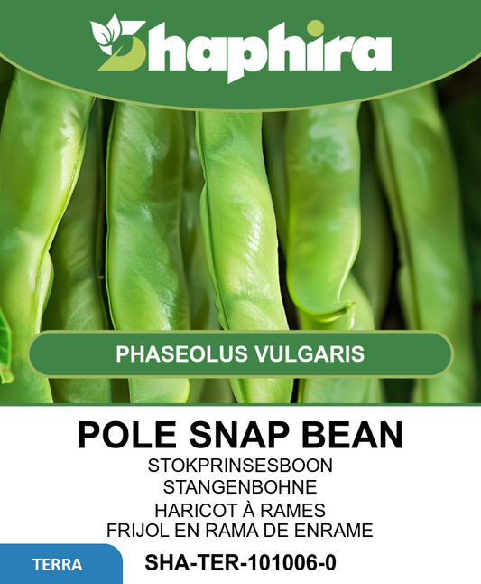 Pole Snap Beans Seeds Phaseolus Vulgaris Helda Variety 100g