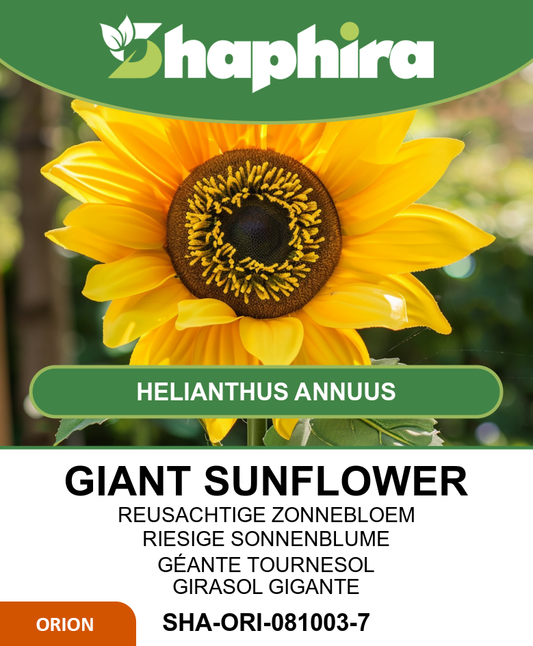 Giant Sunflower Seeds Helianthus Annuus True Yellow 250g