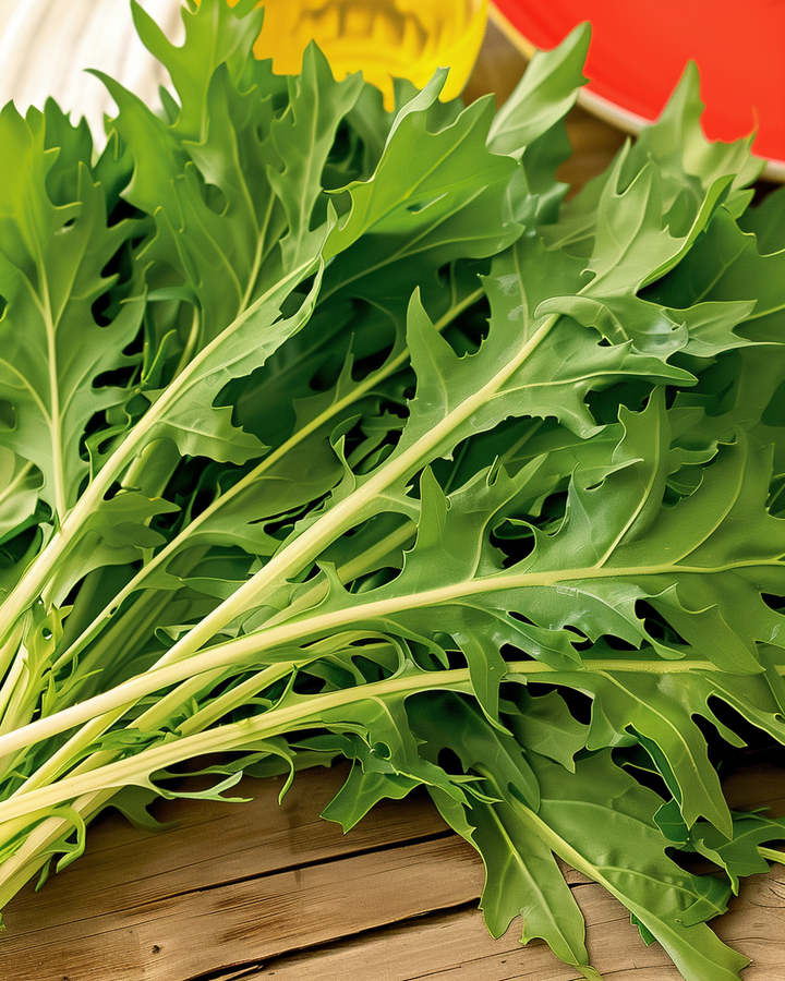 Mizuna Seeds Brassica Rapa Subsp. Nipposinica Spicy Salad Greens