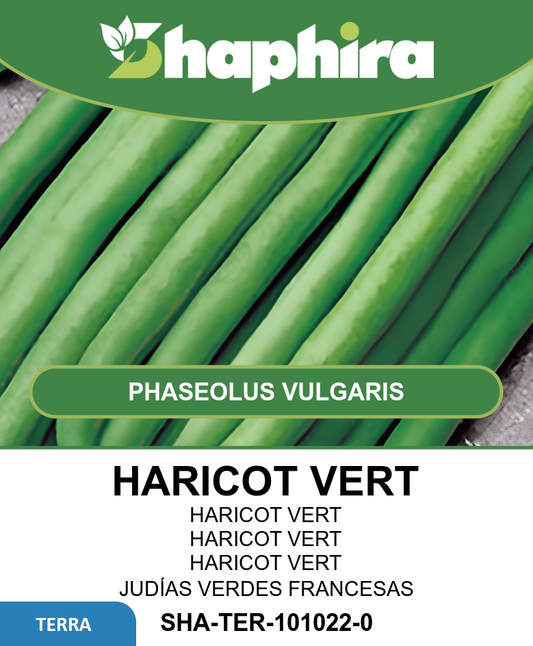 Haricot Vert Beans Seeds Phaseolus Vulgaris Argus 50 Grams