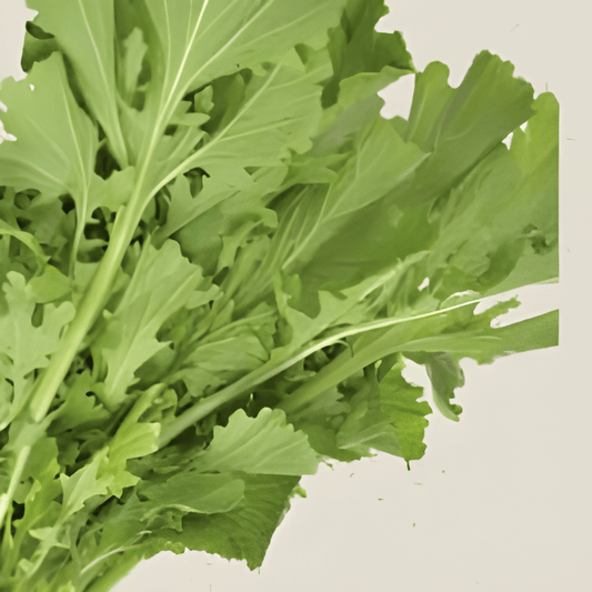 Turnip Greens Seeds Brassica Rapa Tender Namenia Variety