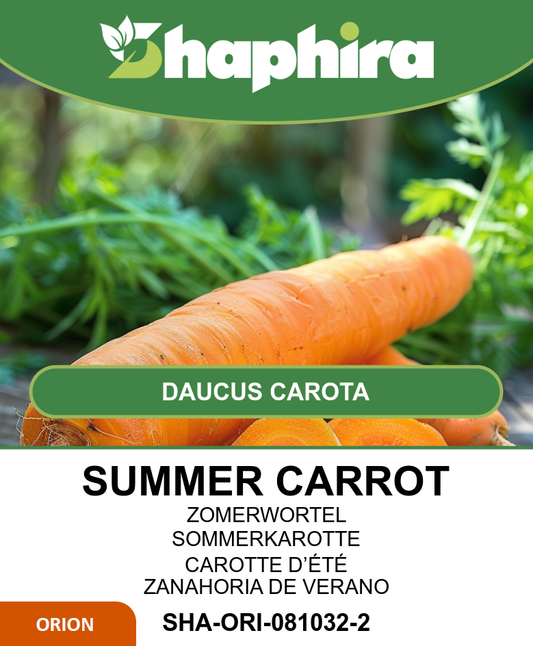 Summer Carrot Seeds Daucus Carota Amsterdam Container 25 Grams