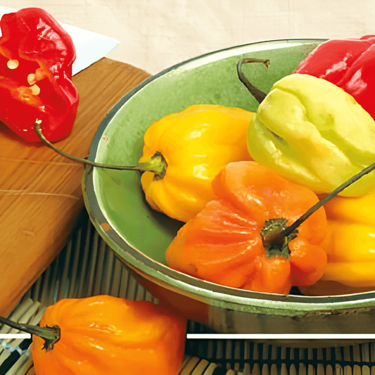 Habanero Pepper Seeds Capsicum Chinense Very Hot Mix