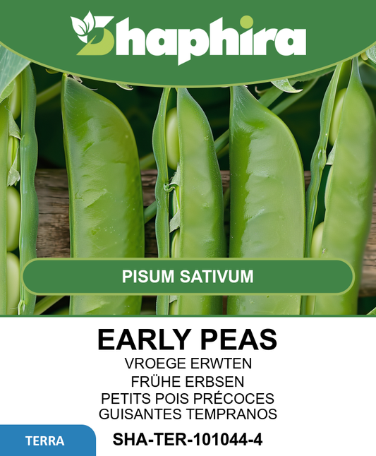 Early Peas Seeds Pisum Sativum Very Early Strong Variety 100g