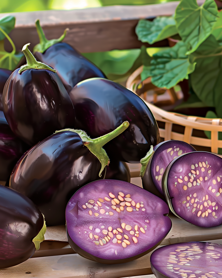 Mini Eggplant Seeds Solanum Melongena Patio Baby F1 Variety
