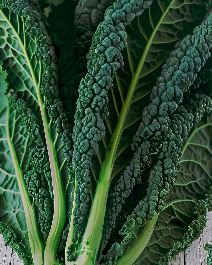 Cavolo Nero Kale Seeds Brassica Oleracea L. Vegetable Variety