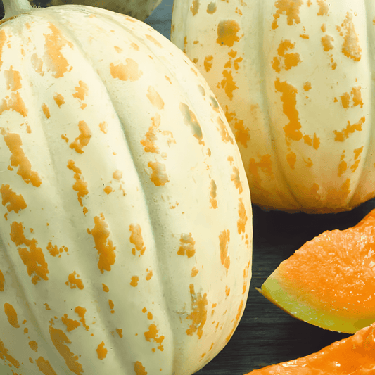 Orange Pineapple Melon Seeds Cucumis Melo Sweet Fruit Variety
