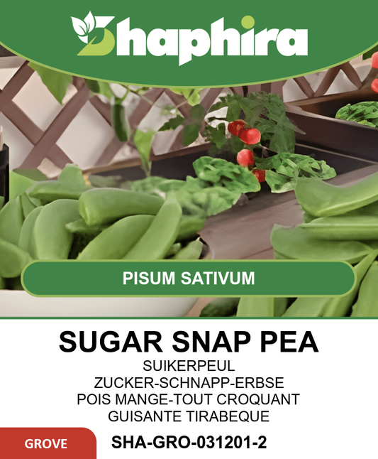 Sugar Snap Pea Seeds Pisum Sativum Sweet Edible Pod Variety