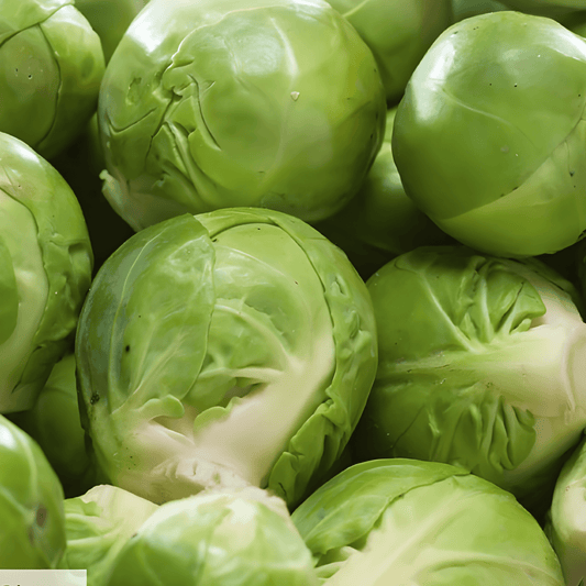 Brussels Sprouts Igor F1 Seeds Brassica Oleracea Long Harvest Variety