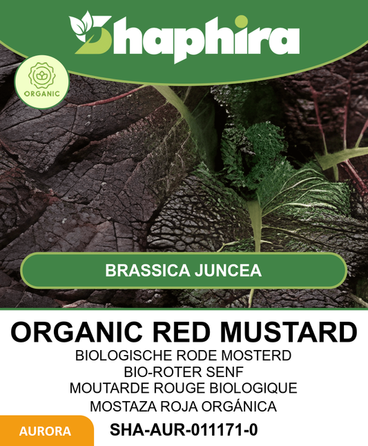 Organic Mustard Seeds Brassica Juncea Red Giant Vegetable
