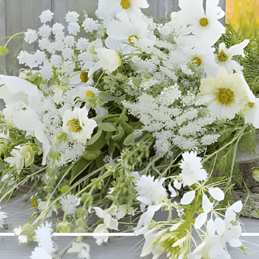 White Summer Flower Seeds Annual Mix For Outdoor Sowing