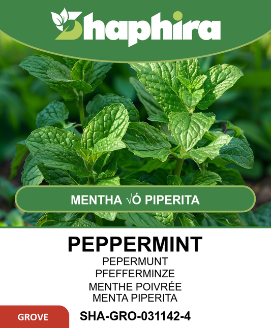 Peppermint Seeds Mentha X Piperita Pelleted Herb Seeds
