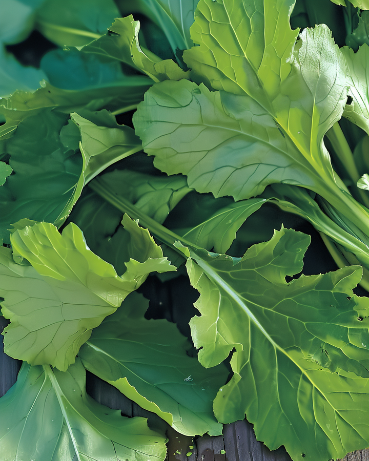 Leaf Mold Seeds Brassica Rapa Tender Spring Vegetable Variety