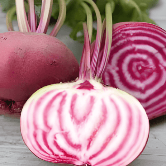 Chioggia Beet Seeds Beta Vulgaris Sweet Patterned Vegetable Seeds