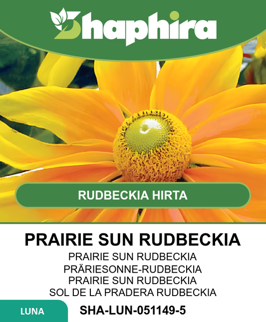 Rudbeckia Prairie Sun Rudbeckia Hirta Flower Seeds