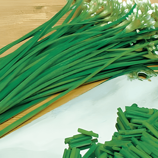 Chinese Garlic Chives Seeds Allium Tuberosum Culinary Herb Variety