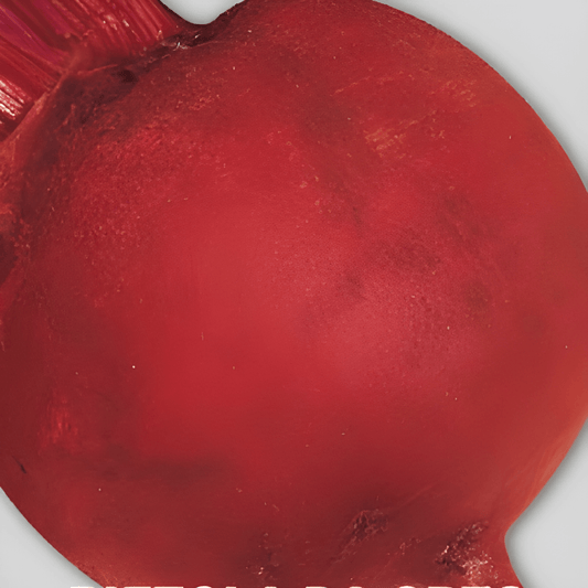 Detroit Beet Seeds Beta Vulgaris L Large Round Early Variety