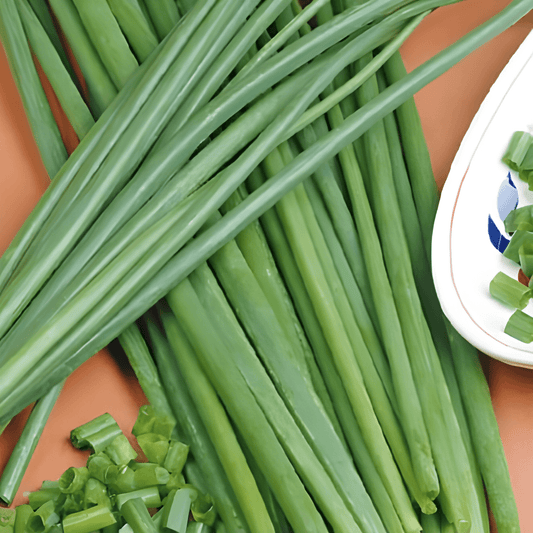 Chive Seeds Allium Fistulosum Coarse Herb Culinary Use