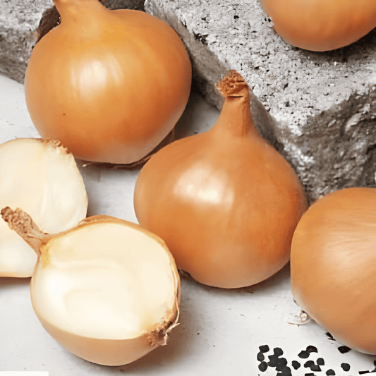 Shallot Bonilla F1 Allium Cepa Vegetable Seeds For Outdoor Sowing