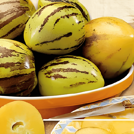 Pepino Seeds Solanum Muricatum Exotic Melon Pear Fruit Seeds