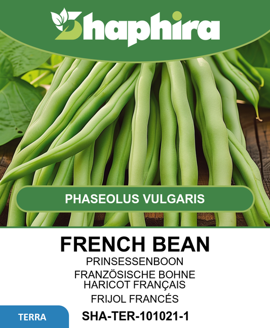 Stamslabonen Delinel Beans Seeds Phaseolus Vulgaris French Variety