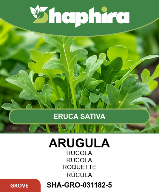 Arugula Seeds For Guinea Pigs Eruca Sativa Fast Growing Vegetables