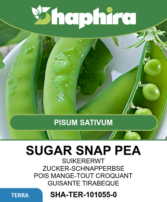 Sugar Snap Peas Seeds Pisum Sativum Delikett Extra Sweet
