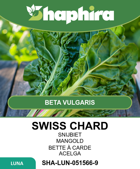 Swiss Chard Seeds Beta Vulgaris Common Green Vegetable Seeds 20 Grams
